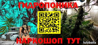 прущие крисы Мариинск